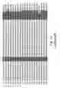 Fig. 18 - Synthetic library of specific binding molecules