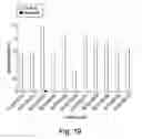 Fig. 28 - Synthetic library of specific binding molecules