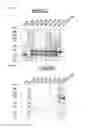 Fig. 07 - Anti-C5 antibodies