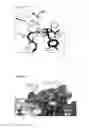 Fig. 23 - Anti-C5 antibodies