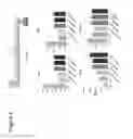 Fig. 06 - Compositions and methods for antibodies targeting BMP6