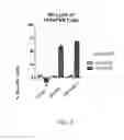 Fig. 05 - Antibodies to TIGIT