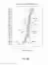 Fig. 09 - Antibodies to TIGIT