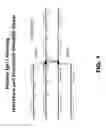 Fig. 02 - Site-specific antibody conjugation methods and compositions