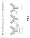 Fig. 14 - Site-specific antibody conjugation methods and compositions