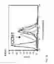 Fig. 03 - ANTI CEACAM1 ANTIBODIES AND METHODS OF USING SAME