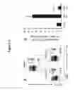 Fig. 06 - Methods and materials for treating cancer