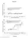 Fig. 20 - HETERODIMERIC ANTIBODIES INCLUDING BINDING TO CD8