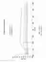 Fig. 17 - Binding molecules for BCMA and CD3