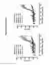 Fig. 30 - Binding molecules for BCMA and CD3