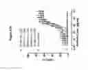 Fig. 56 - Binding molecules for BCMA and CD3