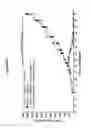 Fig. 62 - Binding molecules for BCMA and CD3