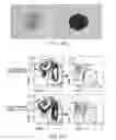 Fig. 35 - Methods of manipulating phagocytosis mediated by CD47
