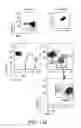 Fig. 14 - Methods of manipulating phagocytosis mediated by CD47