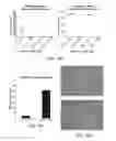 Fig. 29 - Methods of manipulating phagocytosis mediated by CD47