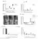 Fig. 50 - Methods of manipulating phagocytosis mediated by CD47