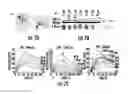 Fig. 09 - Methods and compositions related to single chain antibody fragments that bind to tumor-associated glycoprotein 72 (TAG-72)