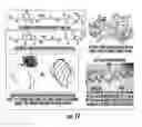 Fig. 19 - Methods and compositions related to single chain antibody fragments that bind to tumor-associated glycoprotein 72 (TAG-72)
