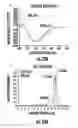 Fig. 22 - Methods and compositions related to single chain antibody fragments that bind to tumor-associated glycoprotein 72 (TAG-72)