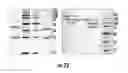 Fig. 25 - Methods and compositions related to single chain antibody fragments that bind to tumor-associated glycoprotein 72 (TAG-72)