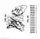 Fig. 05 - INTERCALATED SINGLE-CHAIN VARIABLE FRAGMENTS