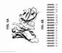 Fig. 06 - INTERCALATED SINGLE-CHAIN VARIABLE FRAGMENTS