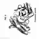 Fig. 09 - INTERCALATED SINGLE-CHAIN VARIABLE FRAGMENTS