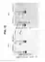 Fig. 13 - INTERCALATED SINGLE-CHAIN VARIABLE FRAGMENTS