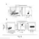 Fig. 04 - Humanized monoclonal antibodies and methods of use