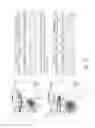 Fig. 11 - Humanized monoclonal antibodies and methods of use