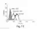 Fig. 12 - Humanized monoclonal antibodies and methods of use
