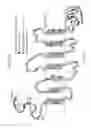 Fig. 14 - Humanized monoclonal antibodies and methods of use