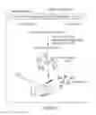 Fig. 15 - Humanized monoclonal antibodies and methods of use