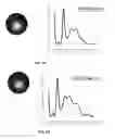 Fig. 05 - DNA-Nanoparticle Conjugates