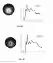 Fig. 23 - DNA-Nanoparticle Conjugates
