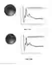 Fig. 27 - DNA-Nanoparticle Conjugates