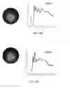 Fig. 31 - DNA-Nanoparticle Conjugates