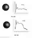 Fig. 40 - DNA-Nanoparticle Conjugates