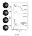 Fig. 43 - DNA-Nanoparticle Conjugates