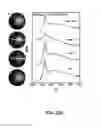 Fig. 57 - DNA-Nanoparticle Conjugates