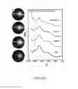 Fig. 58 - DNA-Nanoparticle Conjugates