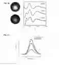 Fig. 65 - DNA-Nanoparticle Conjugates