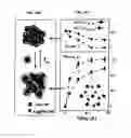 Fig. 72 - DNA-Nanoparticle Conjugates