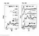 Fig. 75 - DNA-Nanoparticle Conjugates