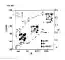 Fig. 76 - DNA-Nanoparticle Conjugates
