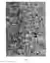 Fig. 02 - SHEET PRODUCED FROM CARDS OF PLASTIC MATERIAL