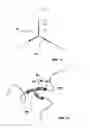 Fig. 12 - ABSORBABLE COPOLYMERS WITH IMPROVED THERMAL STABILITY