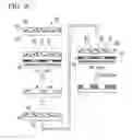 Fig. 16 - Photodegradable cross-linking agent, photodegradable gel, cell culture instrument, cell arrangement-sorting apparatus, cell arrangement method, cell sorting method, tissue forming method, and tissue