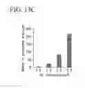 Fig. 21 - Photodegradable cross-linking agent, photodegradable gel, cell culture instrument, cell arrangement-sorting apparatus, cell arrangement method, cell sorting method, tissue forming method, and tissue
