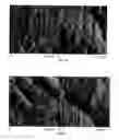 Fig. 11 - ANTIMICROBIAL AND BACTERIOSTATIC-MODIFIED POLYMERS FOR CELLULOSE FIBRES